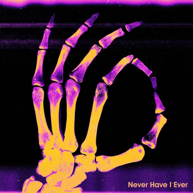 Never Have I Ever cover