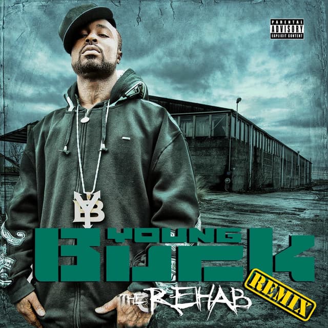 The Rehab (Remix Special Edition) cover