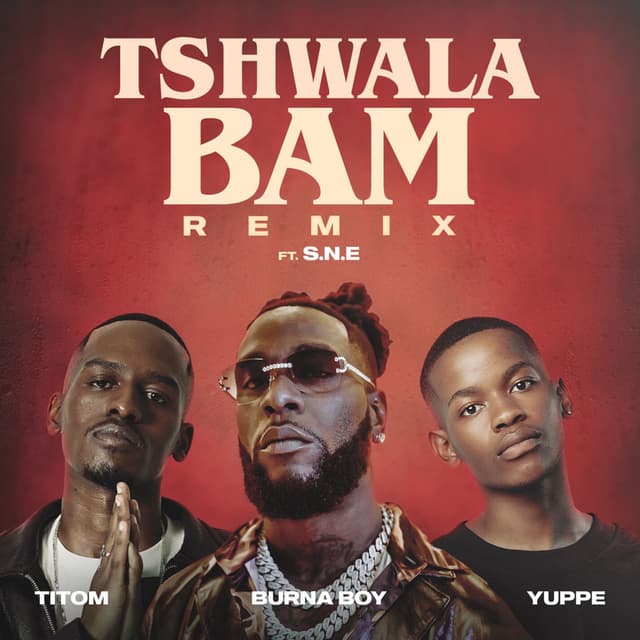 Tshwala Bam (feat. S.N.E) (Remix) cover