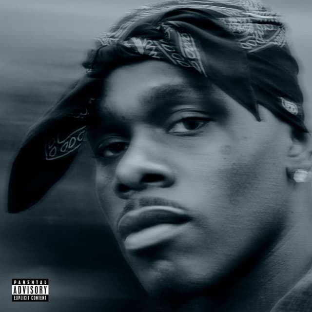 PBJT cover