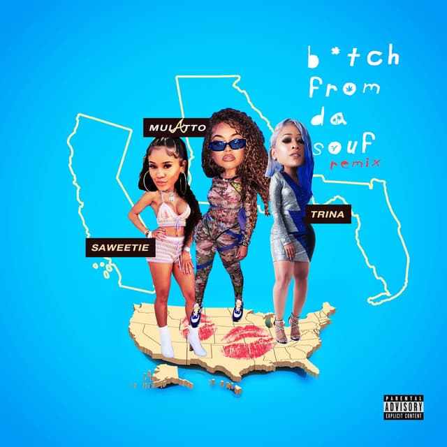 B*tch From Da Souf (Remix) cover