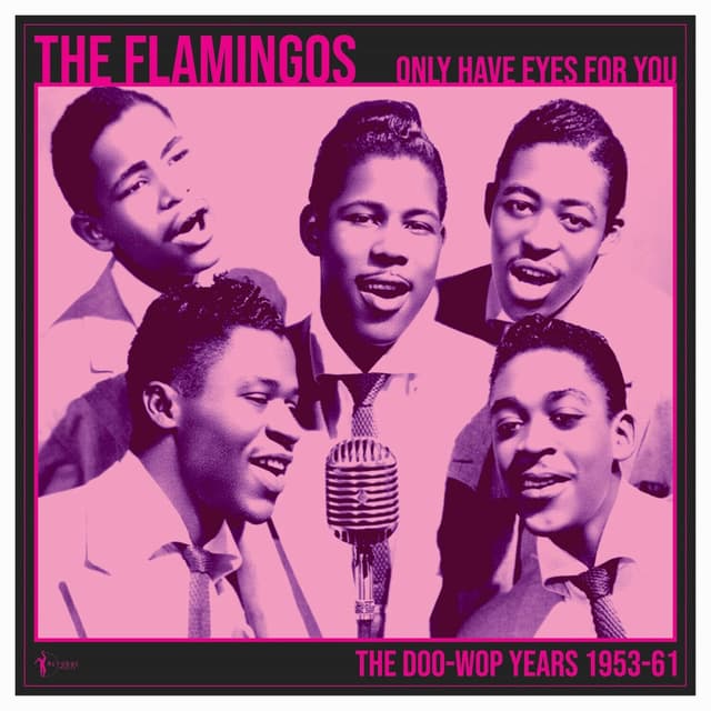 We Only Have Eye's For You: The Doo Wop Years 1953-61 cover