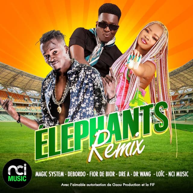 Eléphants remix cover