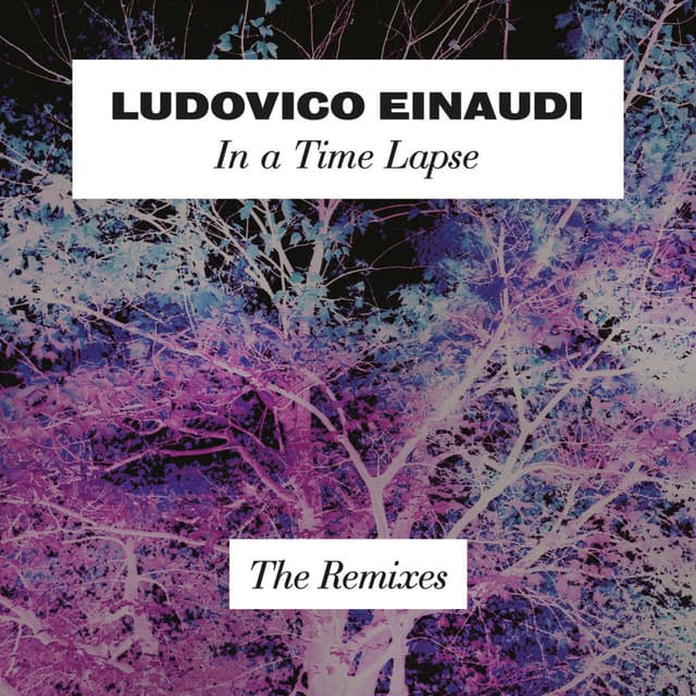 In A Time Lapse - The Remixes cover