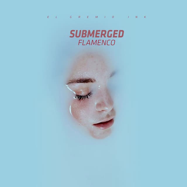 Submerged Flamenco cover