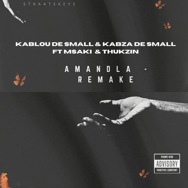 Amandla (Remix) cover