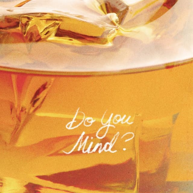 Do You Mind? cover