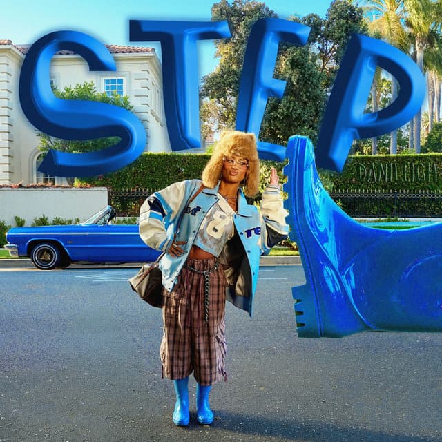 Step cover