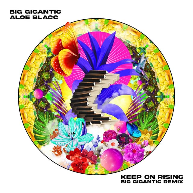 Keep On Rising (Big Gigantic Remix) cover