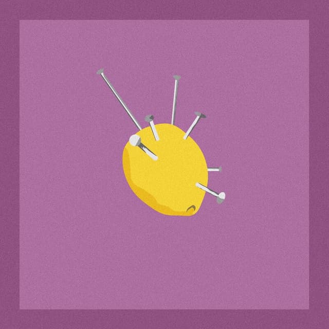LEMONS cover