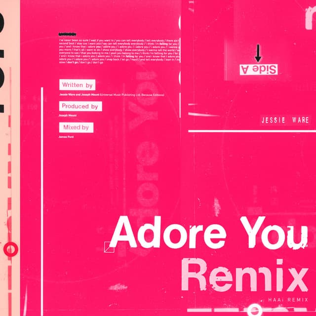 Adore You (HAAi Remix) cover