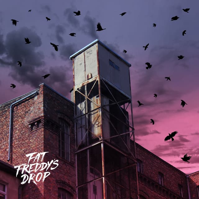 Blackbird cover