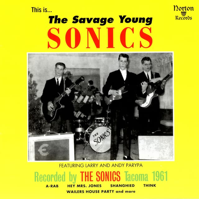 The Savage Young Sonics cover