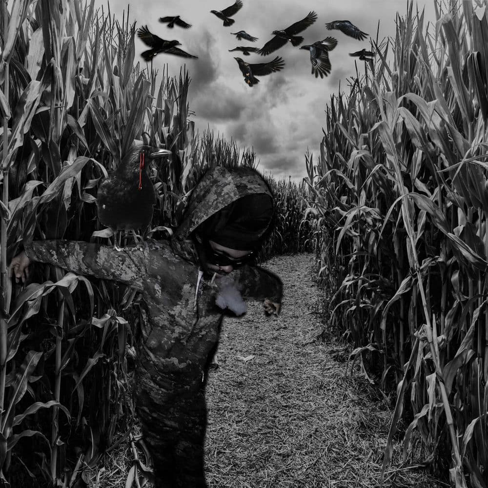 Posted Where the Scarecrows Play cover
