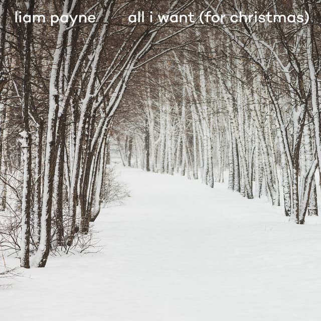 All I Want (For Christmas) cover