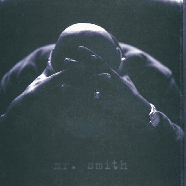 Mr. Smith cover