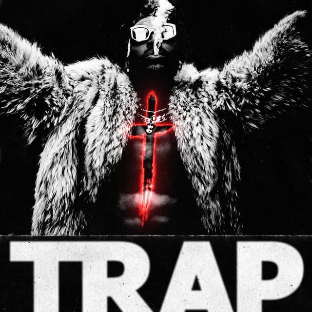 Trap cover