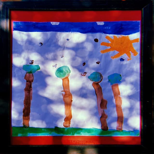 Trees cover