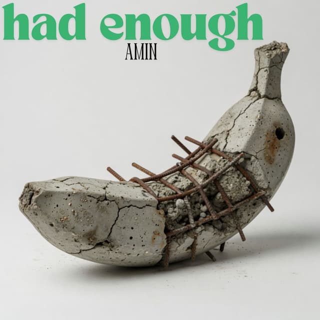 Had Enough cover