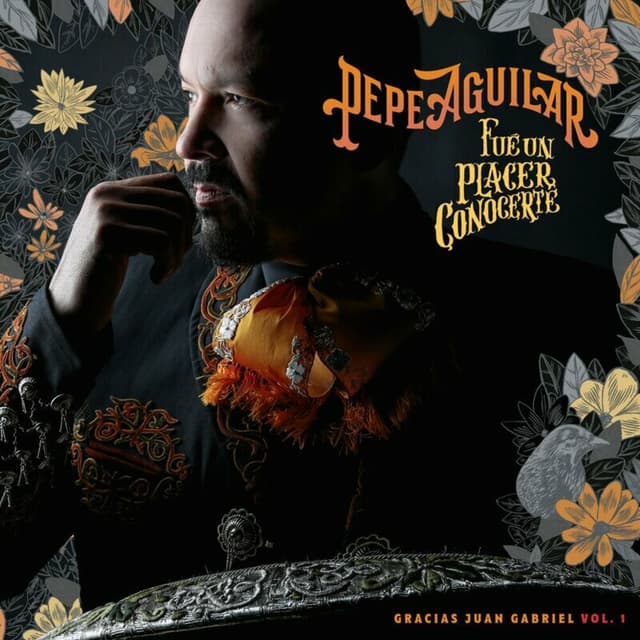 Fue un Placer Conocerte: Gracias Juan Gabriel, Vol. 1 cover