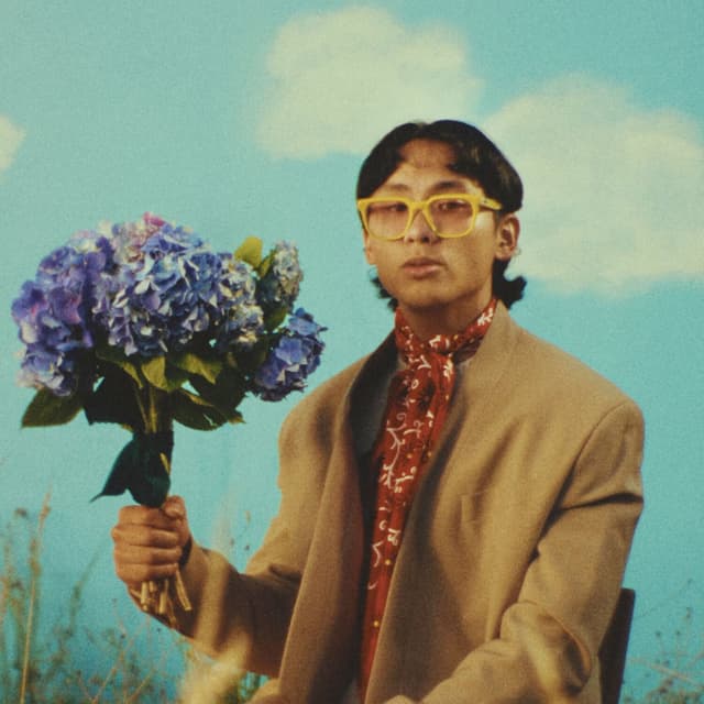 Dandelion cover