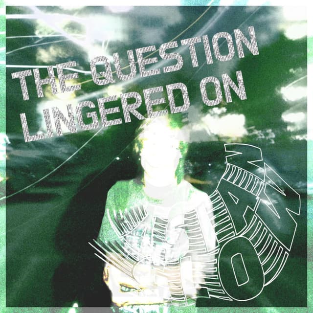 The Question Lingered on cover