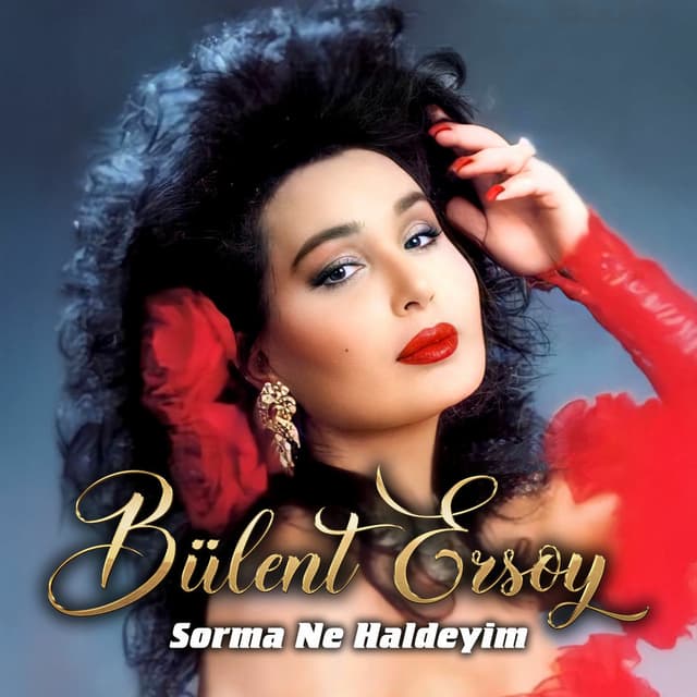 Sorma Ne Haldeyim cover