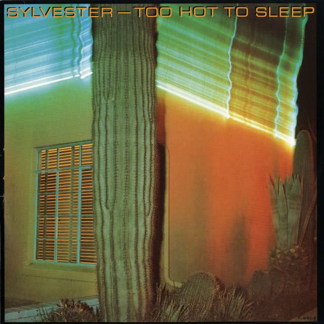 Too Hot To Sleep cover