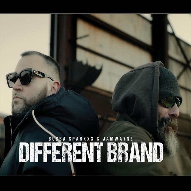 Different Brand cover