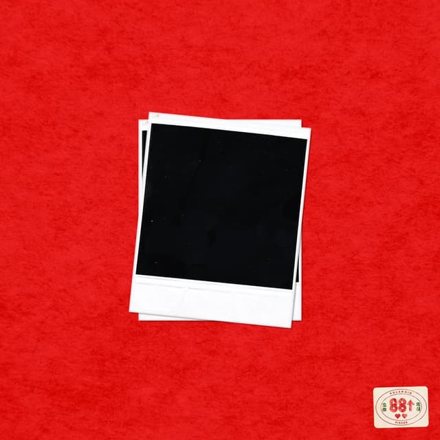 polaroid cover