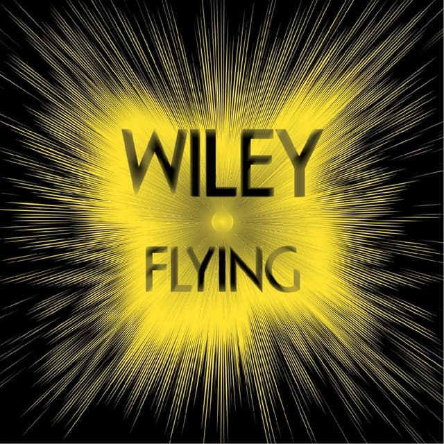 Flying cover
