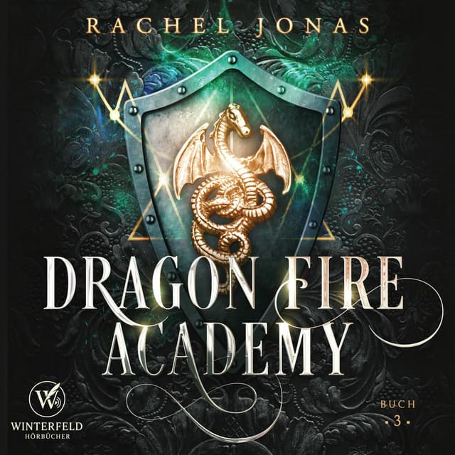 Dragon Fire Academy 3 cover
