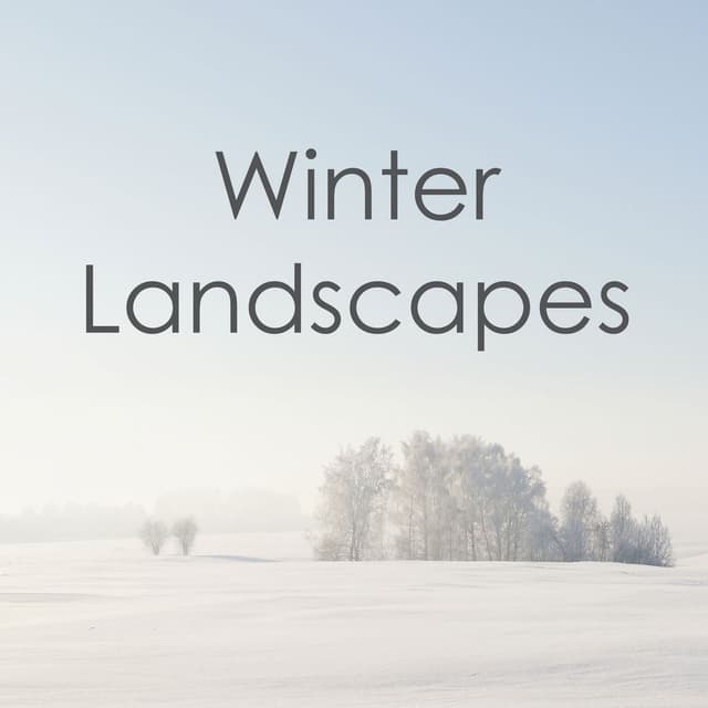 Winter Landscapes - Great Soundtracks cover