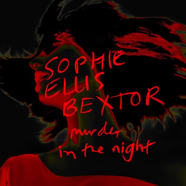 Murder In The Night cover