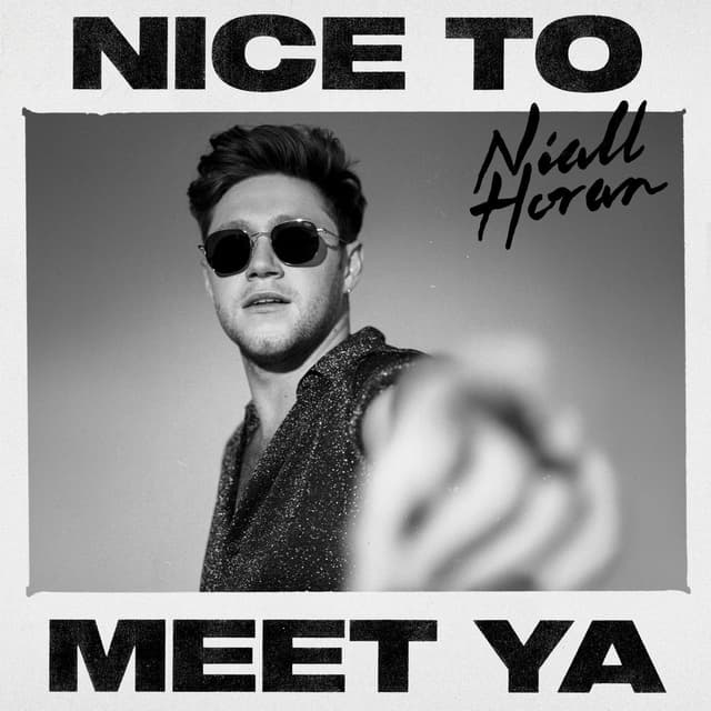 Nice To Meet Ya cover