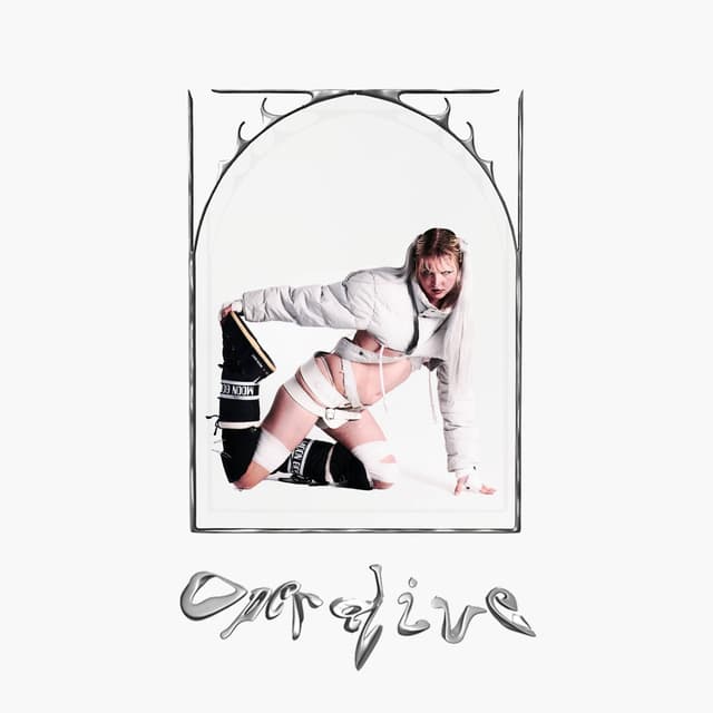 OPERATIVE cover