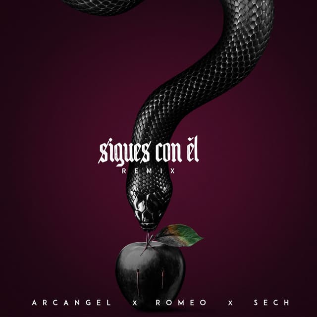 Sigues Con El (Remix) cover