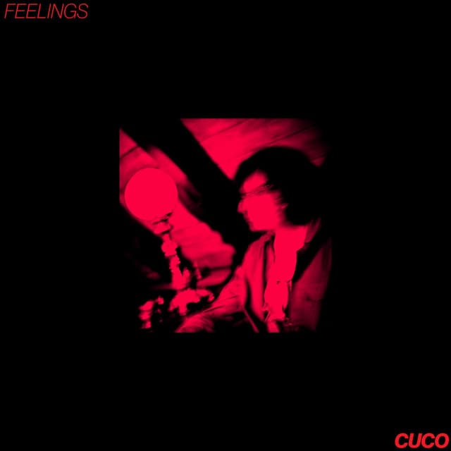 Feelings cover