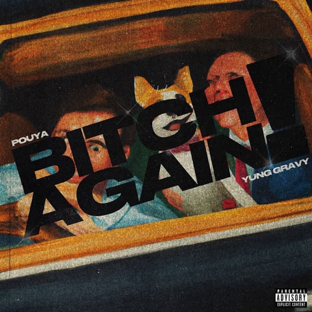 Bitch Again cover