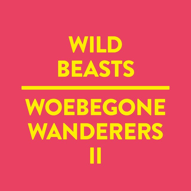 Woebegone Wanderers II cover