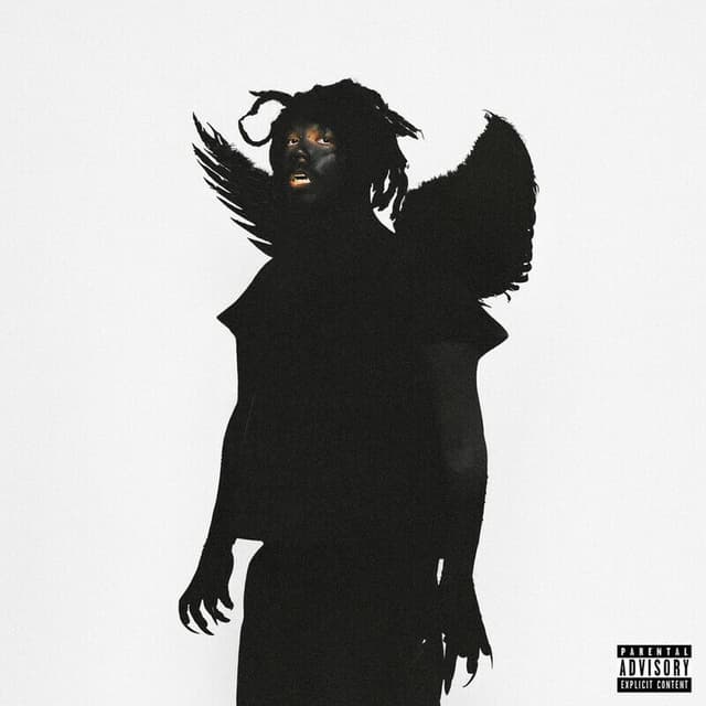Boohoo cover