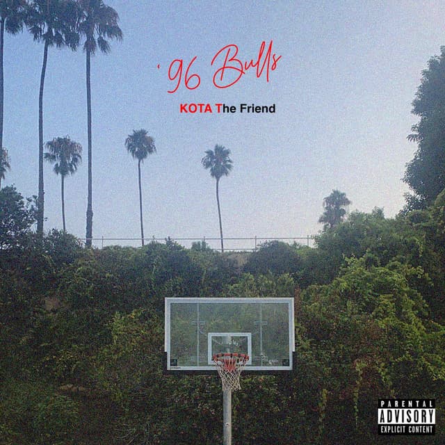 '96 Bulls cover