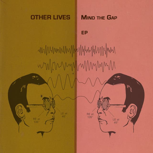 Mind the Gap cover