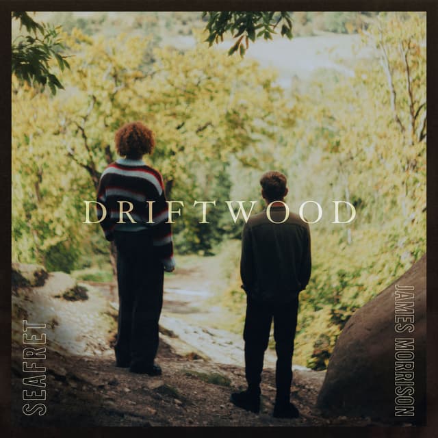 Driftwood cover