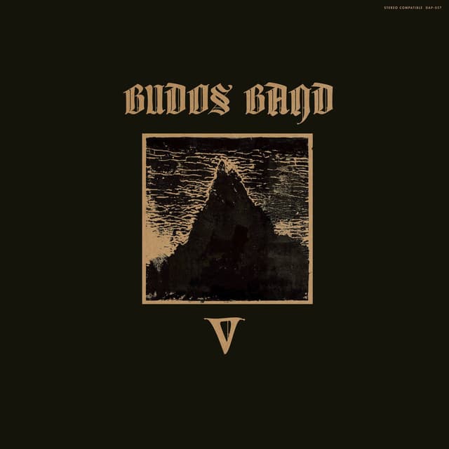 V album cover