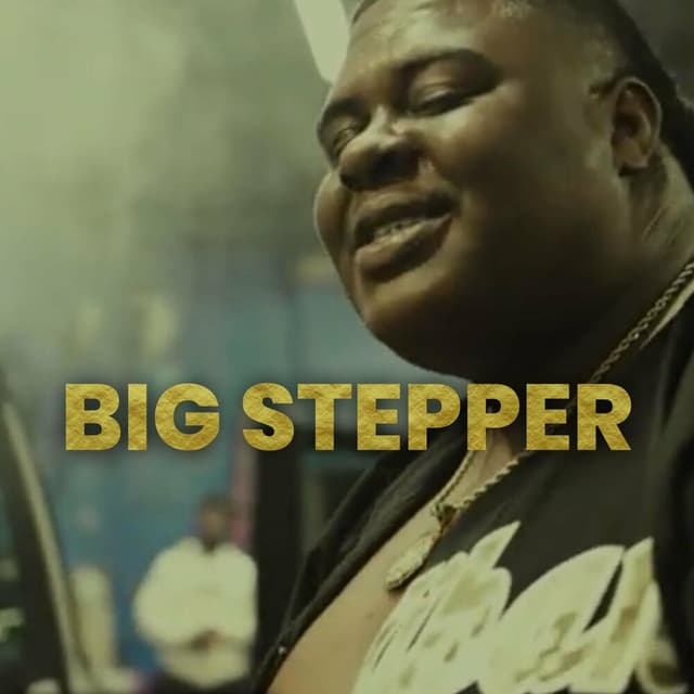 Big Stepper cover