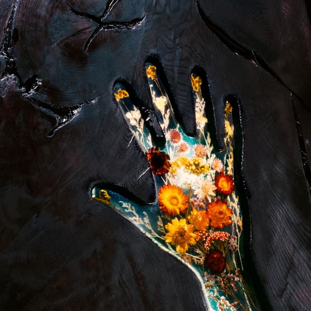 Blackoak cover