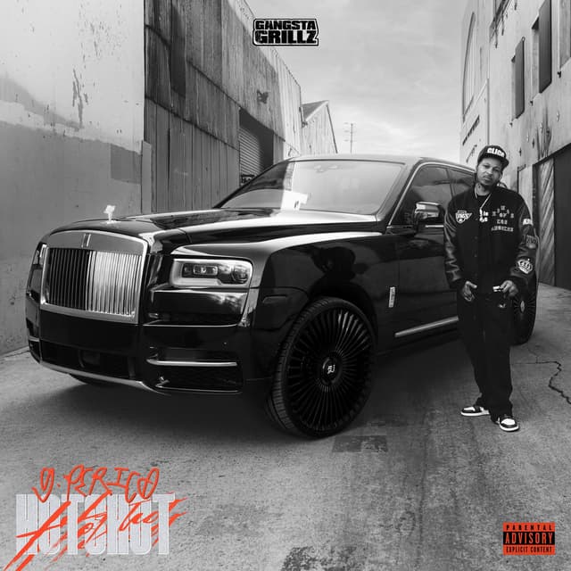 Hot Shot: Gangsta Grillz cover