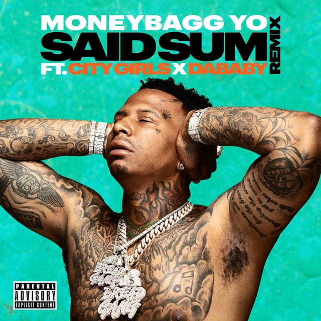 Said Sum (Remix) cover