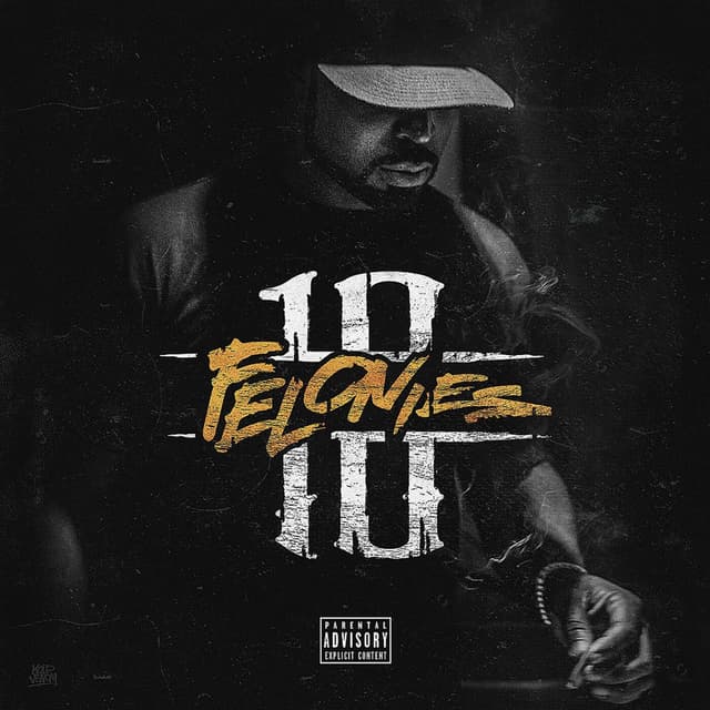 10 Felonies cover